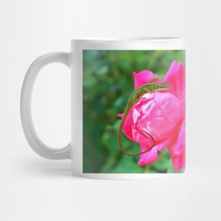 Baby Anole On Pink Rose Mug